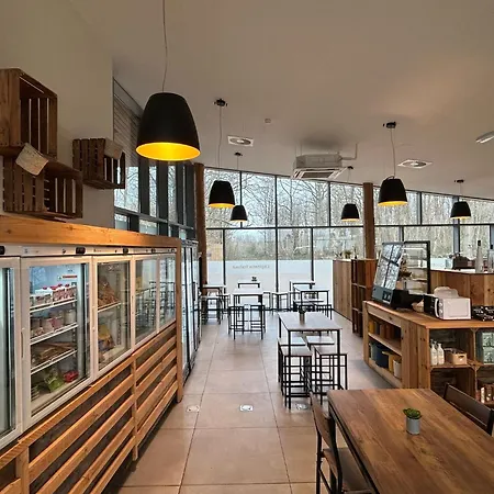 Forest-edge Retreat,